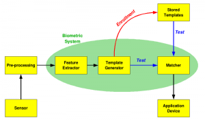 800px-Biometric_system_diagram